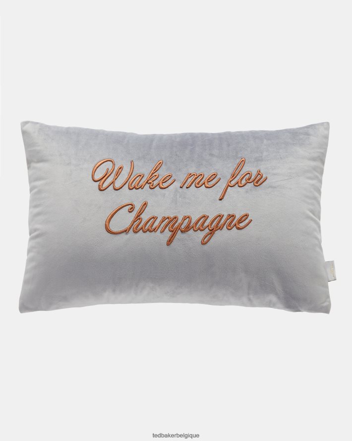 être Ted Baker collection ffzzie réveille-moi pour un coussin à dispersion de champagne gris FR8J422089 articles ménagers