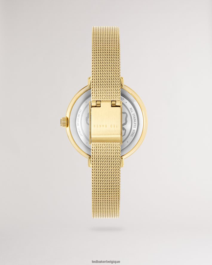 être Ted Baker femmes montre lesedia à imprimé marguerite et bracelet en maille couleur or FR8J421141 accessoires