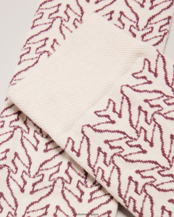 être Ted Baker Hommes chaussettes d'équipage d'avion Aerosok crème FR8J422002 accessoires