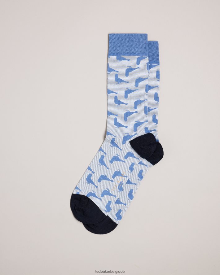 être Ted Baker Hommes chaussettes pidgsok à imprimé pigeon bleu FR8J421981 accessoires