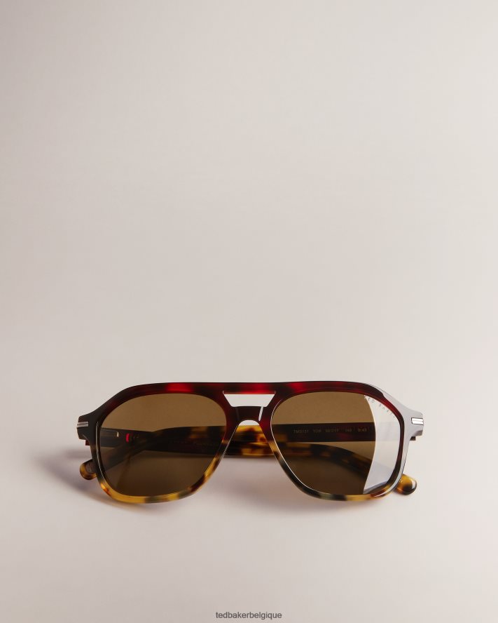 être Ted Baker Hommes grosses lunettes de soleil aviateur Tortavi écaille de tortue FR8J422046 accessoires