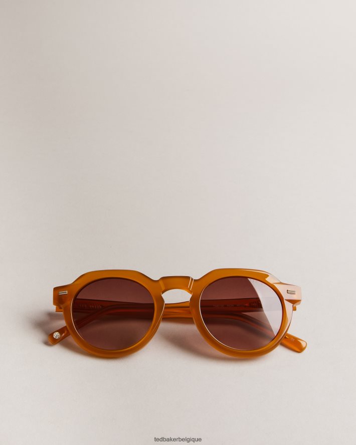 être Ted Baker Hommes lunettes de soleil rondes à dessus plat chérie Miel FR8J421937 accessoires