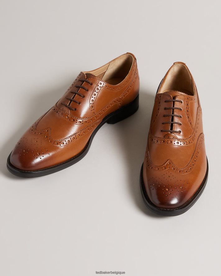 être Ted Baker Hommes amaiss chaussures richelieu en cuir formelles bronzer FR8J421844 chaussures